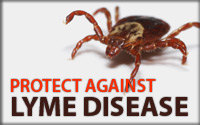Residents Urged to Consider Lyme Disease Prevention This Summer
