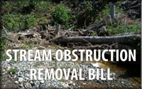 Update on my Stream Obstruction Removal Bill 